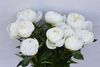 DUCHESSE DE MEMOURS